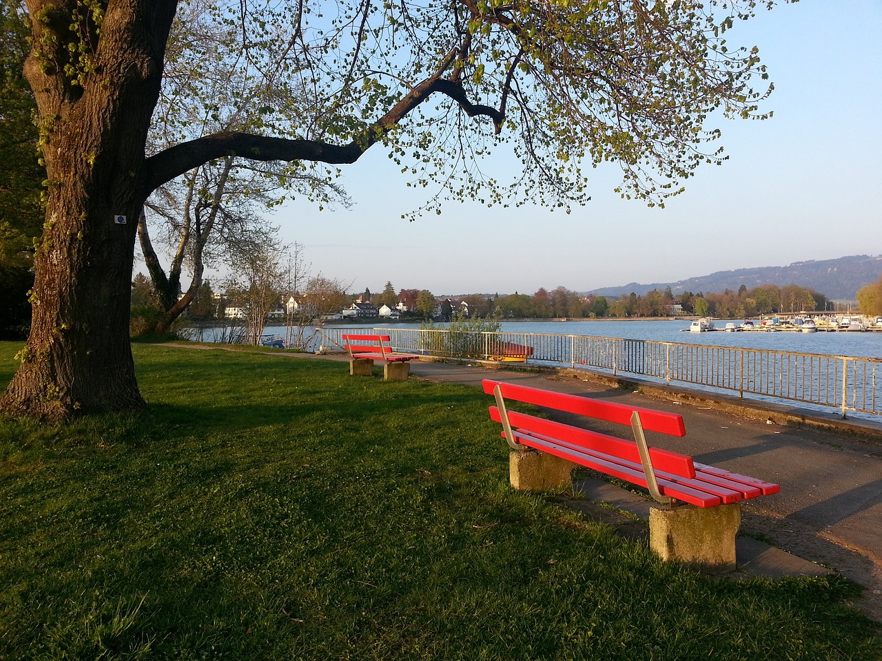 的团队中 的团队中