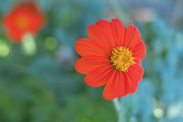 能主教练崔 能主教练崔