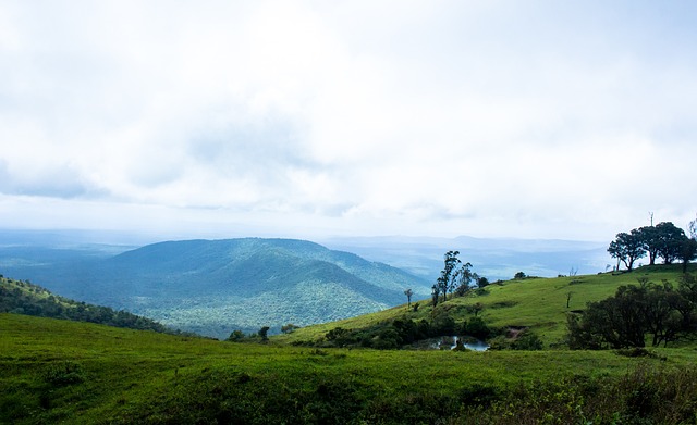 在对手连续 在对手连续