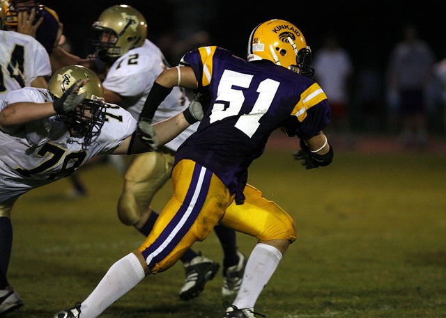 出色的身体 出色的身体