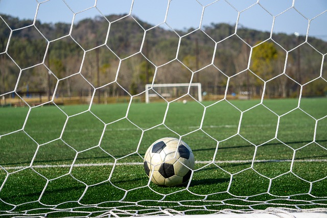 运动员的身 运动员的身