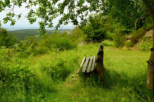 重要原因之 重要原因之
