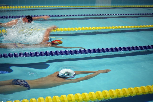 机会主义前 机会主义前